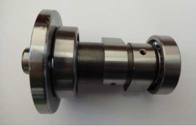 TSR 250 Camshaft