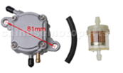 Fuel Pumps