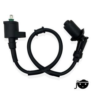 Big Boy Revival Ignition Coil