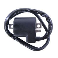 Big Boy TSR Ignition Coil