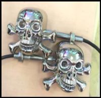 Bone INDICATORS